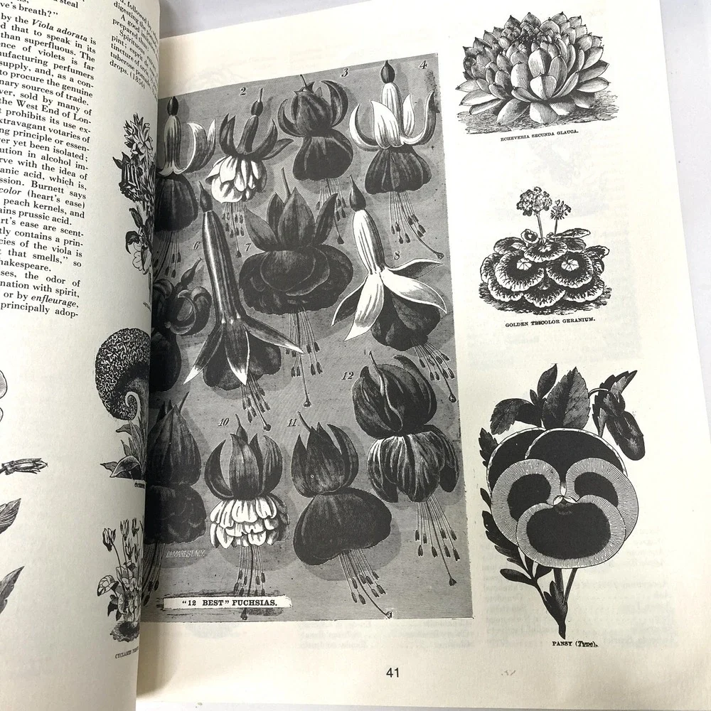 The Compleat Farmer A Compendium of Do-It-Yourself Tried True Practices First Ed